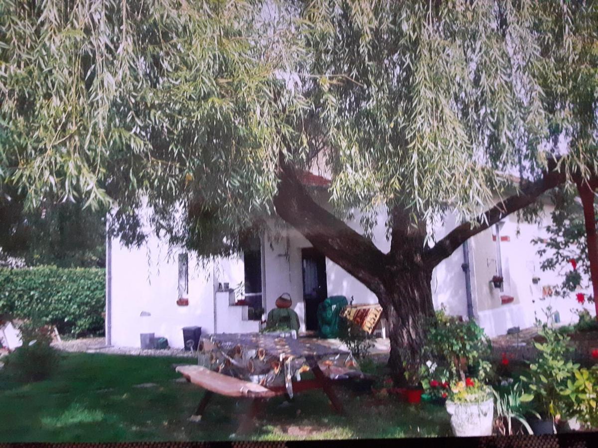 ホテル Peti Kaz Saint-Seurin-sur-l'Isle エクステリア 写真